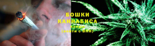 шишки Алексеевка