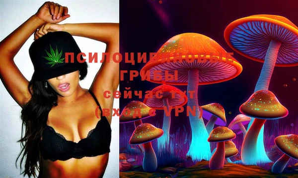 шишки Алексеевка