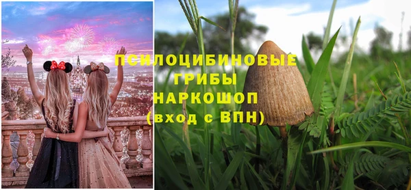 шишки Алексеевка