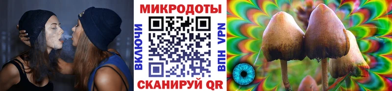 дарнет шоп  Петровск  Псилоцибиновые грибы мухоморы 