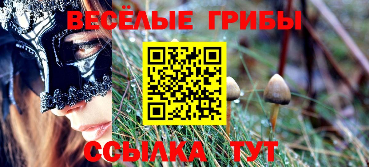 закладка  Вход с VPN  Псилоцибиновые грибы GOLDEN TEACHER  Петровск  Галлюциногенные грибы Magic Shrooms 